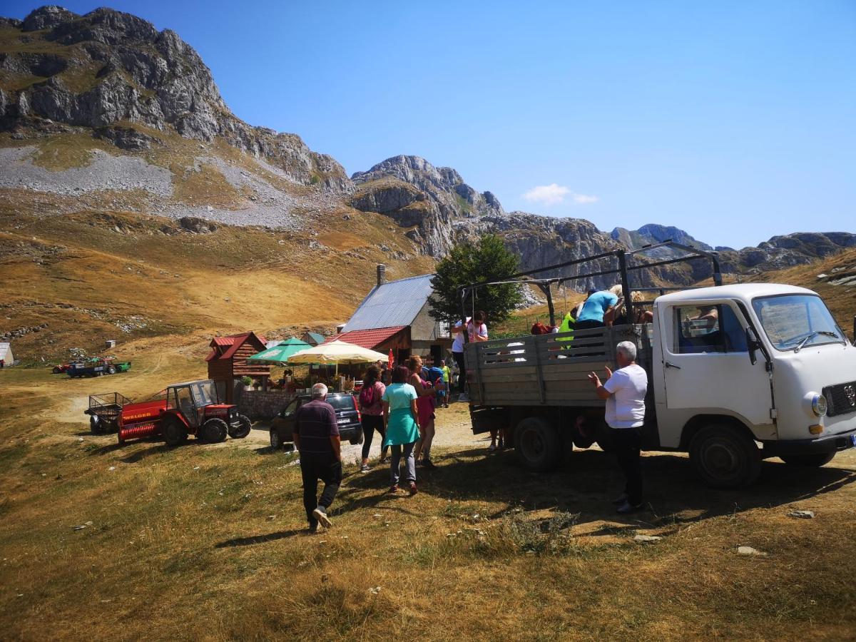 بيت شباب Rural Household Minic - Kapetanovo Jezero Kolašin المظهر الخارجي الصورة