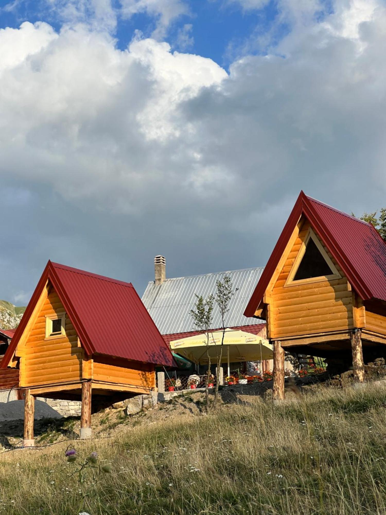 بيت شباب Rural Household Minic - Kapetanovo Jezero Kolašin المظهر الخارجي الصورة