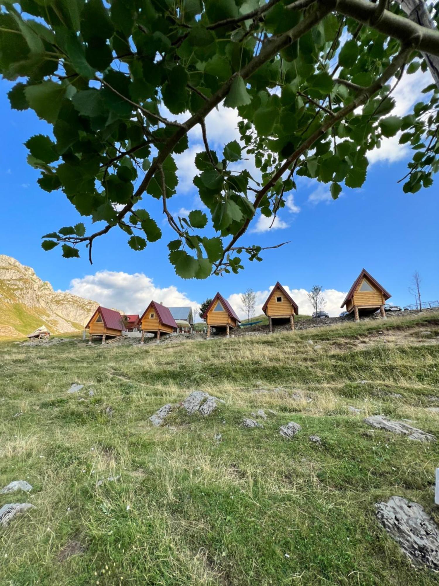 بيت شباب Rural Household Minic - Kapetanovo Jezero Kolašin المظهر الخارجي الصورة