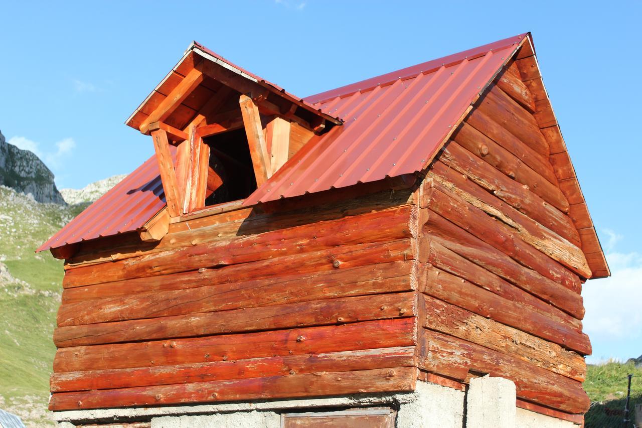 بيت شباب Rural Household Minic - Kapetanovo Jezero Kolašin المظهر الخارجي الصورة